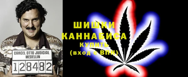 прущие крисы Гусев