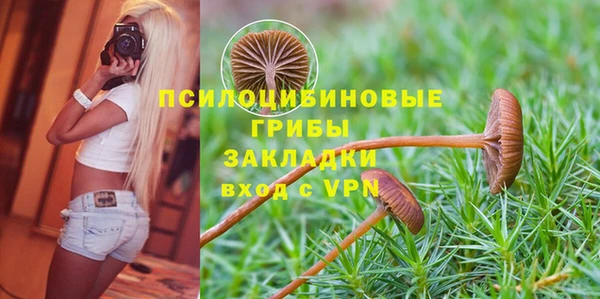 прущие крисы Гусев