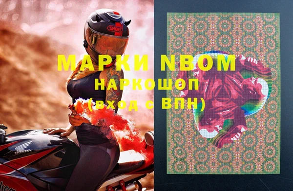 PSILOCYBIN Вязьма