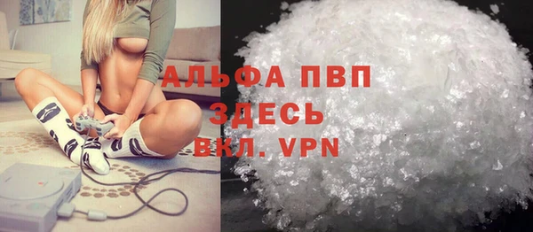 PSILOCYBIN Вязьма